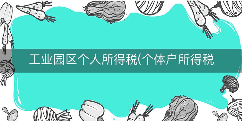 工业园区个人所得税(个体户所得税税率)