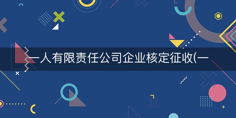 一人有限责任公司企业核定征收(一人有限责任公司纳税)
