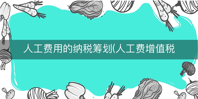 人工费用的纳税筹划(人工费增值税税率是多少)