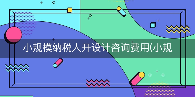 小规模纳税人开设计咨询费用(小规模企业咨询费税率)