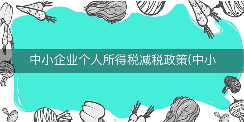 中小企业个人所得税减税政策(中小企业纳税标准)