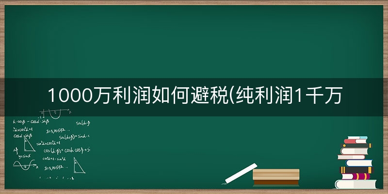 1000万利润如何避税(纯利润1千万交多少税)
