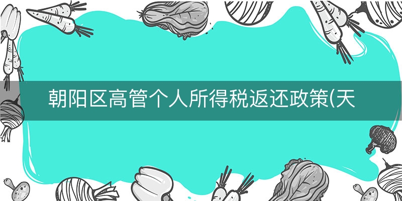朝阳区高管个人所得税返还政策(天津高管个税返还)