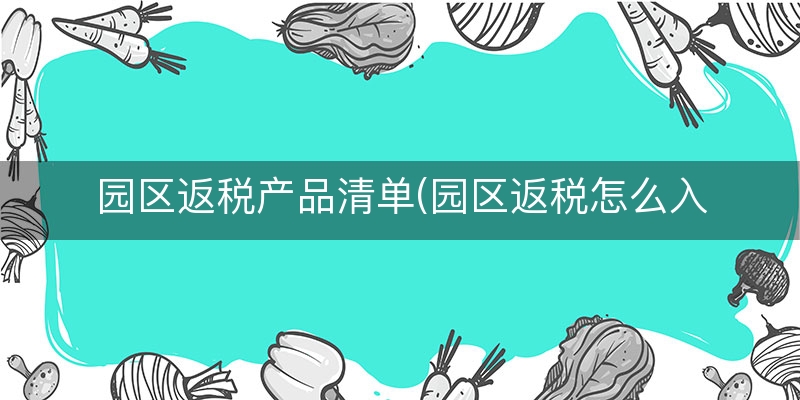 园区返税产品清单(园区返税怎么入账)
