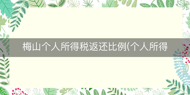 梅山个人所得税返还比例(个人所得税手续费返还政策)