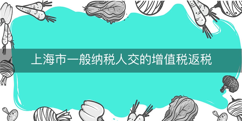 上海市一般纳税人交的增值税返税(一般纳税人附加税税率)