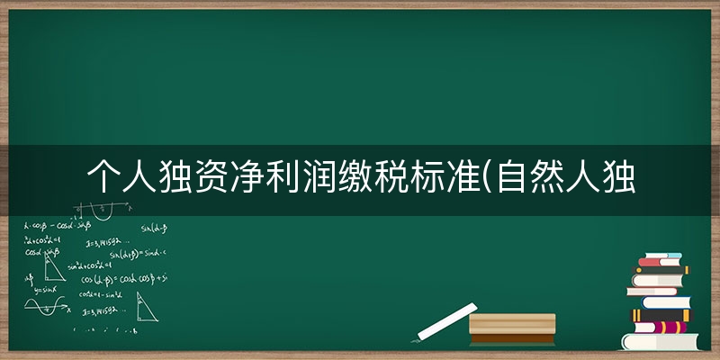 个人独资净利润缴税标准(自然人独资纳税几个点)