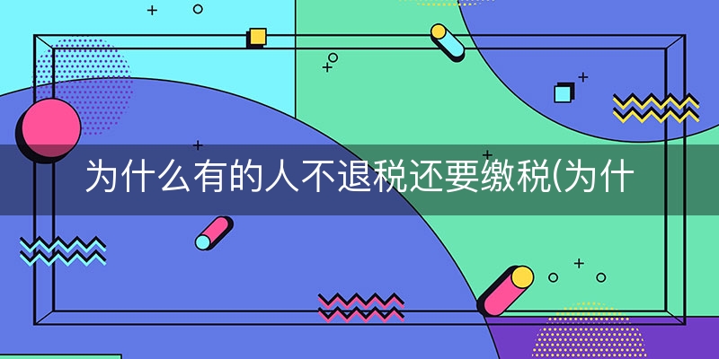 为什么有的人不退税还要缴税(为什么不退税还要交税)