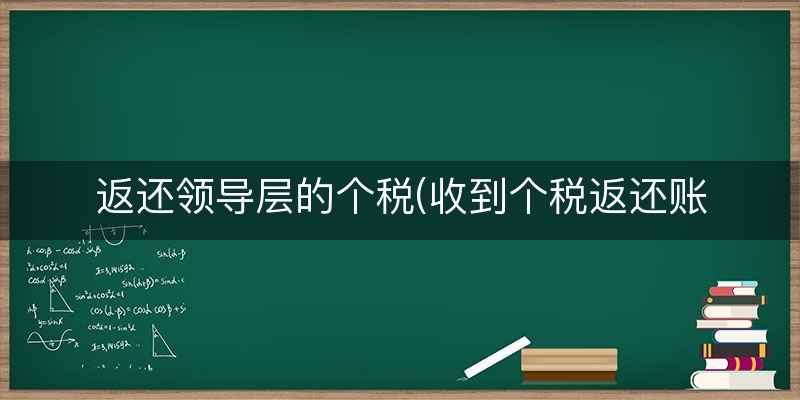 返还领导层的个税(收到个税返还账务处理)