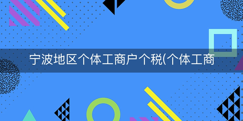 宁波地区个体工商户个税(个体工商户怎么交个税)