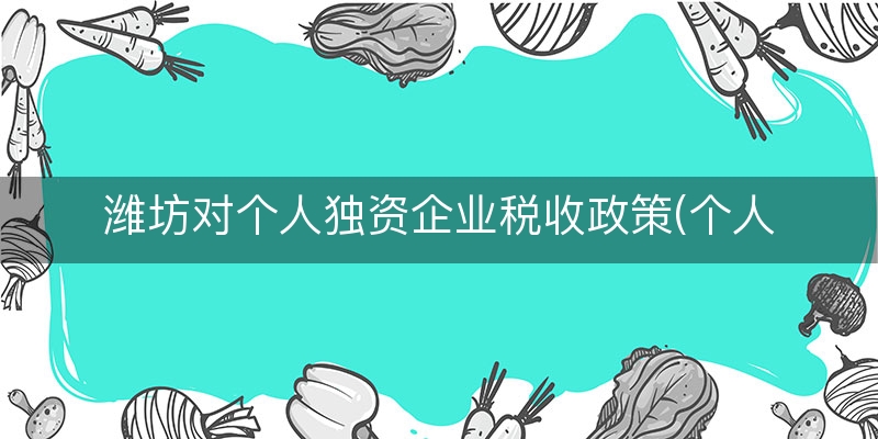 潍坊对个人独资企业税收政策(个人独资企业税收制度)
