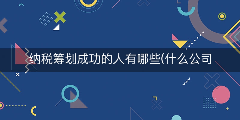纳税筹划成功的人有哪些(什么公司的纳税筹划好写)