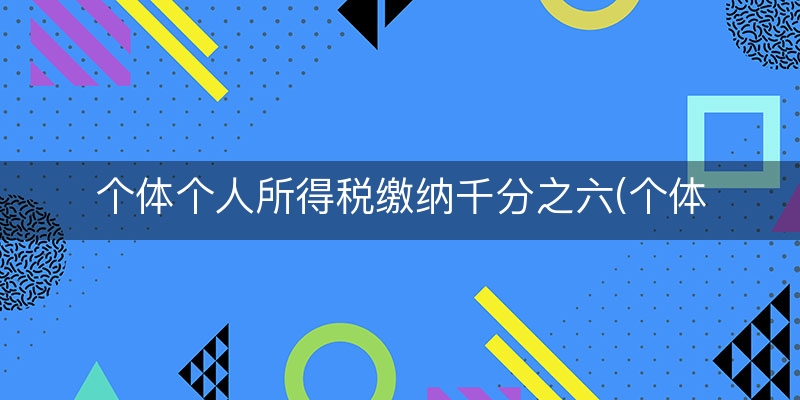 个体个人所得税缴纳千分之六(个体户个人所得税计算)