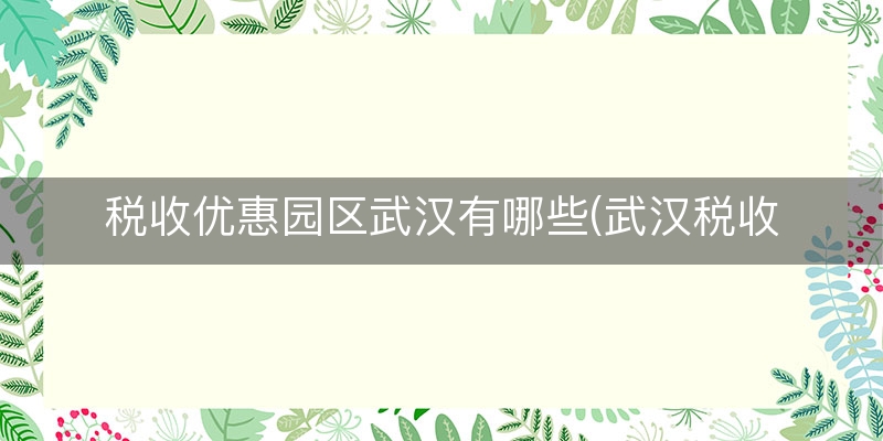 税收优惠园区武汉有哪些(武汉税收洼地在哪)