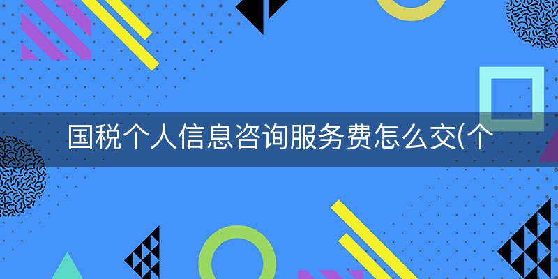国税个人信息咨询服务费怎么交(个人咨询费要交个税吗)