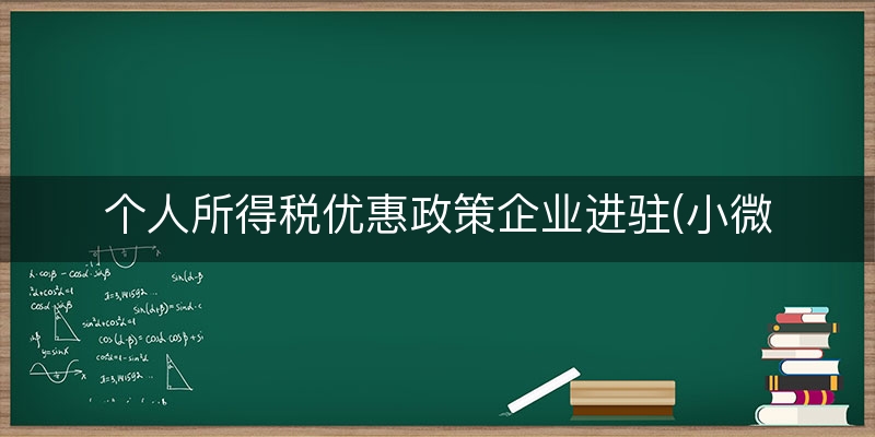 个人所得税优惠政策企业进驻(小微企业所得税优惠税率)