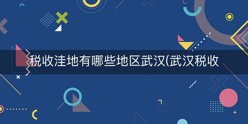 税收洼地有哪些地区武汉(武汉税收洼地)