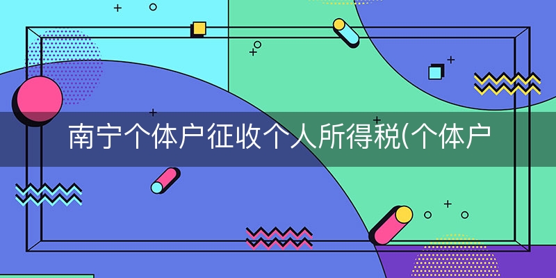 南宁个体户征收个人所得税(个体户小规模个人所得税征收)