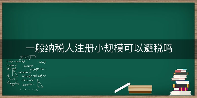 一般纳税人注册小规模可以避税吗(物流公司增值税按什么项目征税)