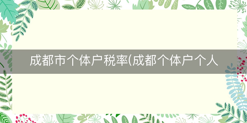 成都市个体户税率(成都个体户个人所得税)