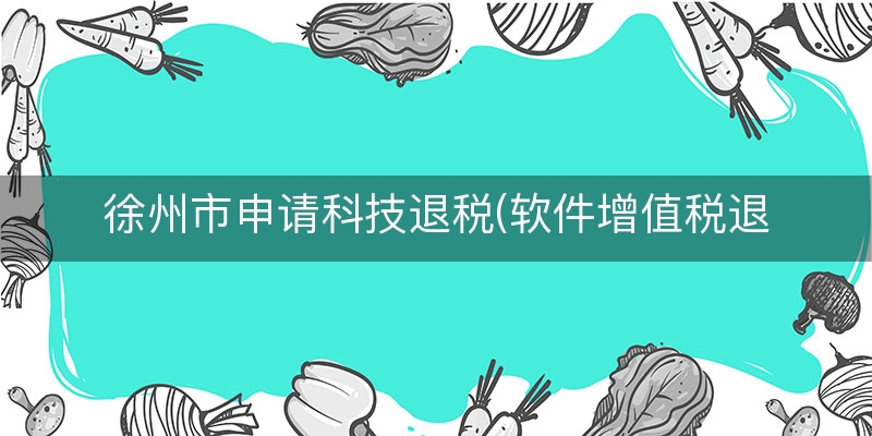 徐州市申请科技退税(软件增值税退税政策)