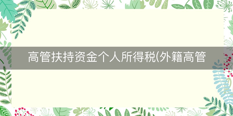高管扶持资金个人所得税(外籍高管个人所得税)
