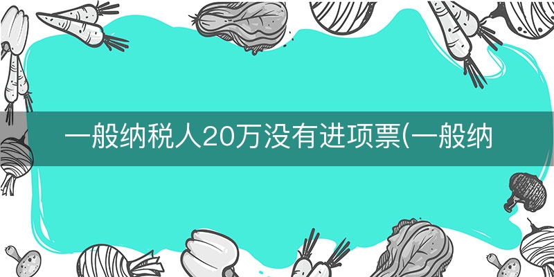 一般纳税人20万没有进项票(一般纳税人进项抵扣)