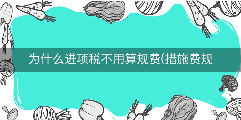 为什么进项税不用算规费(措施费规费税金计算)