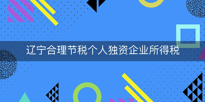 辽宁合理节税个人独资企业所得税(个人独资企业税率最新)