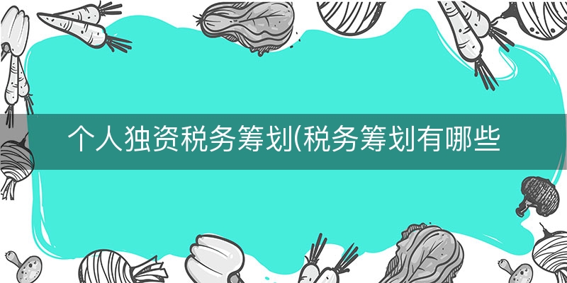 个人独资税务筹划(税务筹划有哪些风险)