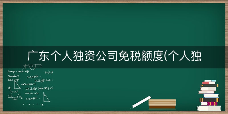 广东个人独资公司免税额度(个人独资免税政策)
