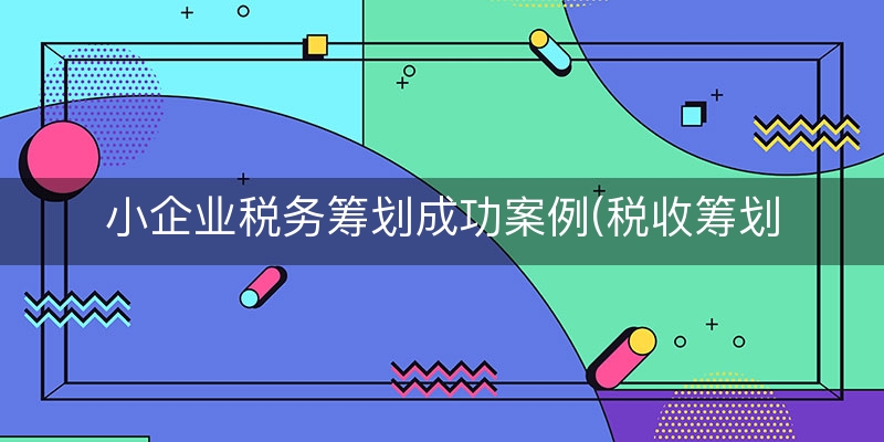 小企业税务筹划成功案例(税收筹划举例说明)