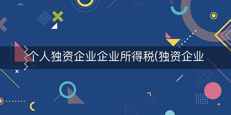 个人独资企业企业所得税(独资企业需要交哪些税)