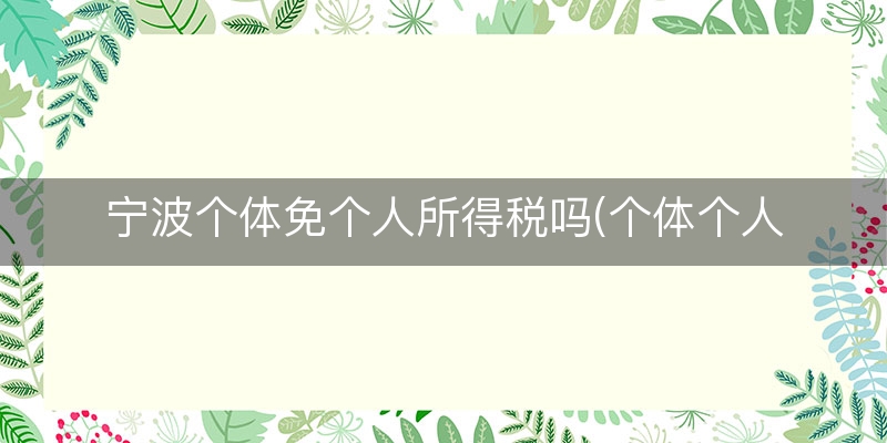 宁波个体免个人所得税吗(个体个人所得税怎么算)