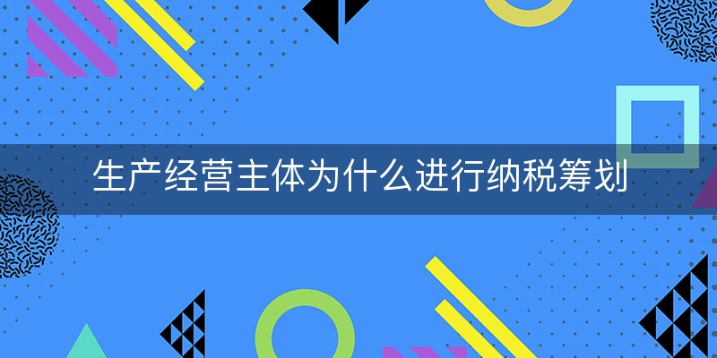 生产经营主体为什么进行纳税筹划(企业纳税筹划的主体)