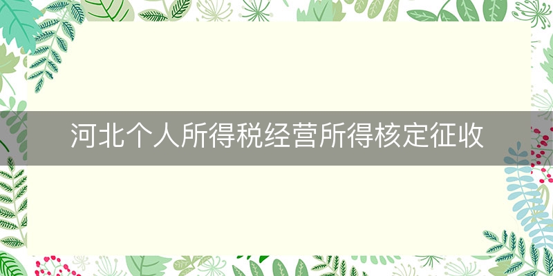 河北个人所得税经营所得核定征收(河北个人所得税核定征收)