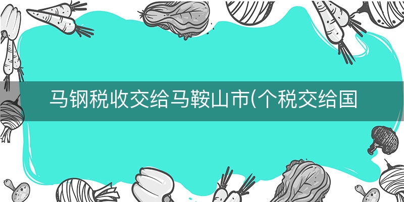 马钢税收交给马鞍山市(个税交给国家还是地方)