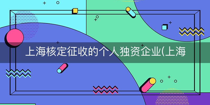 上海核定征收的个人独资企业(上海核定征收最新政策)