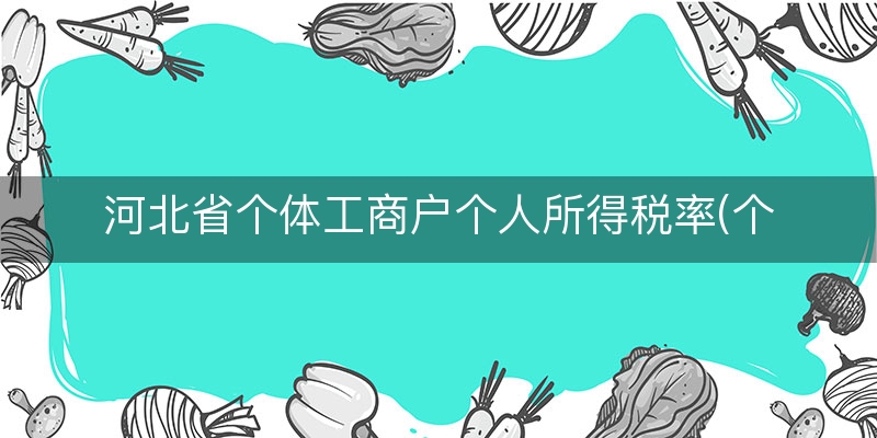 河北省个体工商户个人所得税率(个体工商户应税所得率)