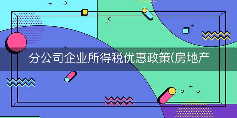 分公司企业所得税优惠政策(房地产分公司企业所得税)