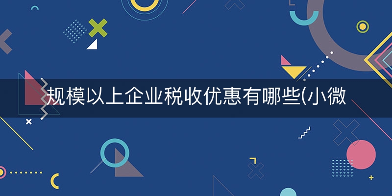 规模以上企业税收优惠有哪些(小微企业所得税2.5%)