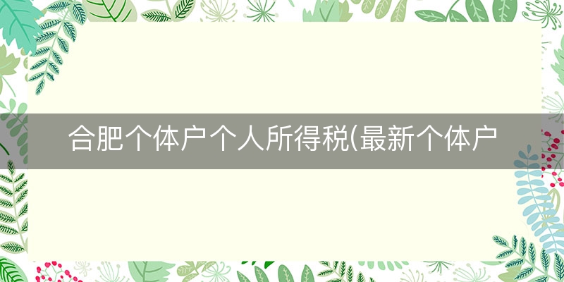 合肥个体户个人所得税(最新个体户个人所得税)