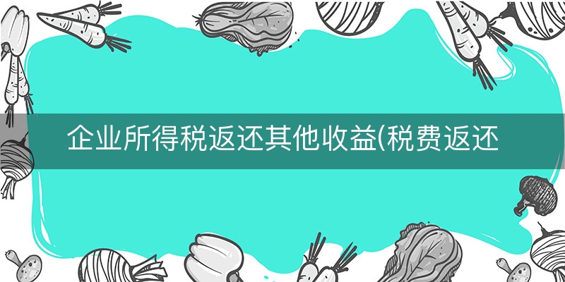 企业所得税返还其他收益(税费返还计入什么科目)
