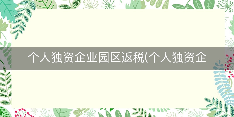 个人独资企业园区返税(个人独资企业税率最新)