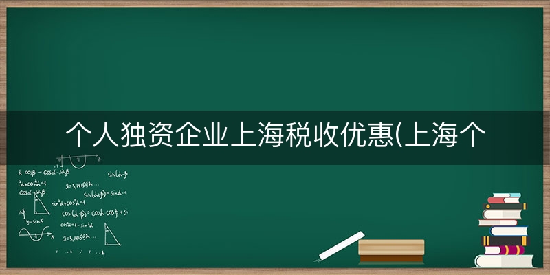 个人独资企业上海税收优惠(上海个人独资企业税率表)
