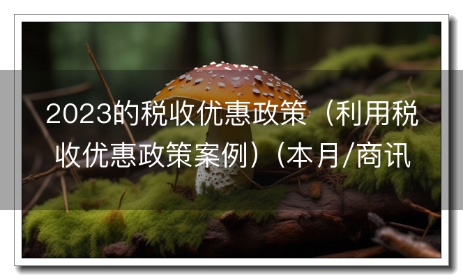 2023的税收优惠政策（利用税收优惠政策案例）