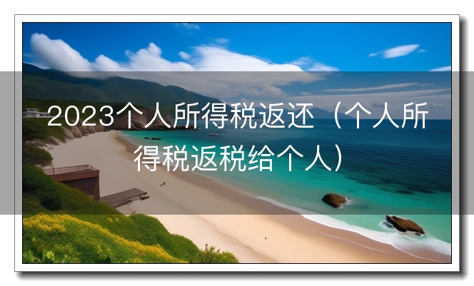 2023个人所得税返还（个人所得税返税给个人）